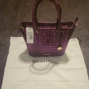 Small Ashlee Purple Potion Melbourne